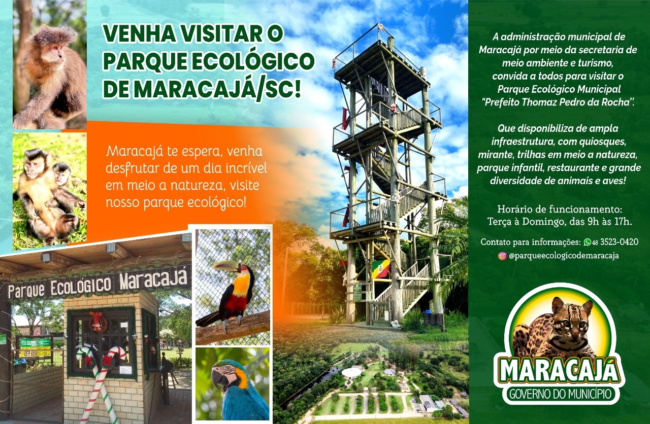 publicidade